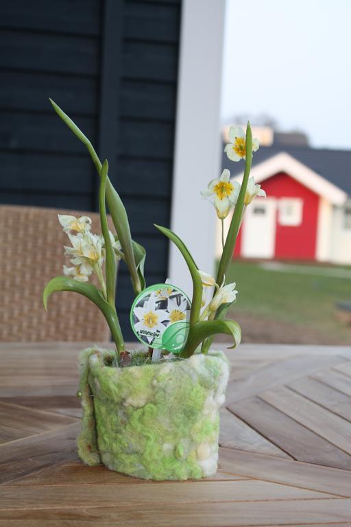 Ferienhaus Heimathafen Sierksdorf Ruang foto
